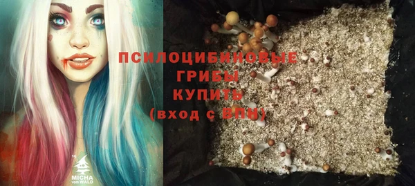 молекула духа Богородск
