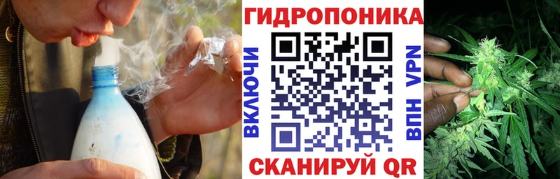 Конопля индика Калининец